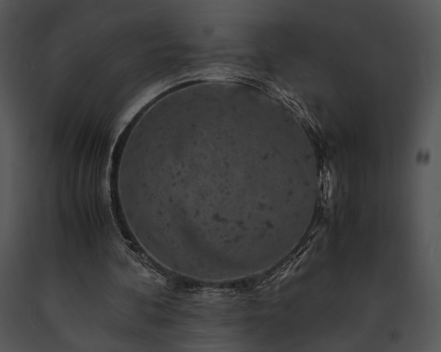 X0000091650292200708301424