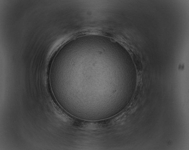 X0000091650293200708301424