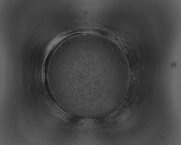 X0000091650294200708301424