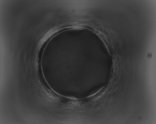 X0000091650295200708301424