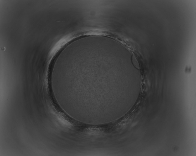 X0000091650296200708301424