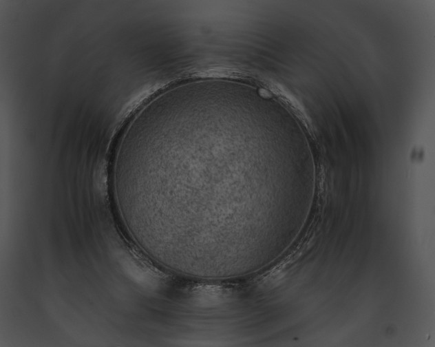 X0000091650298200708301424