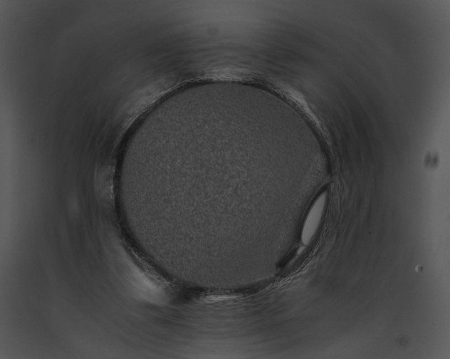 X0000091650299200708301424