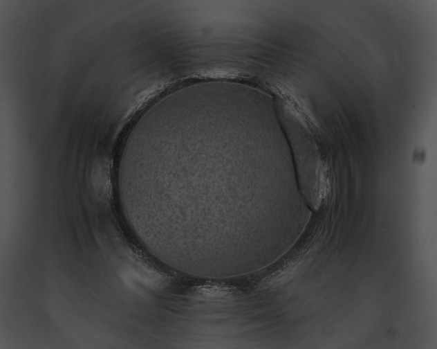 X0000091650300200708301424