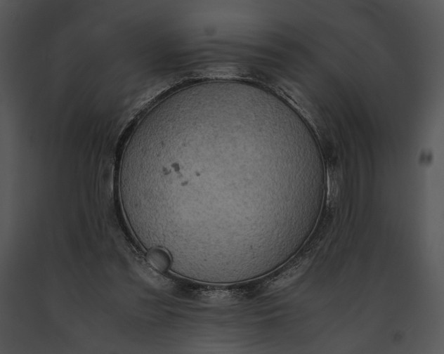 X0000091650301200708301424