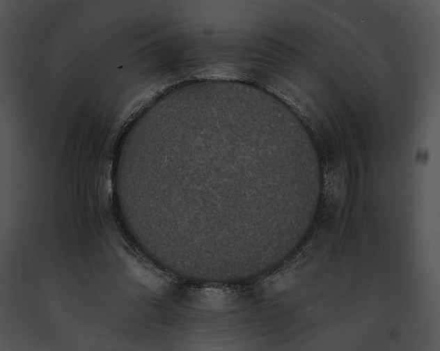 X0000091650302200708301424