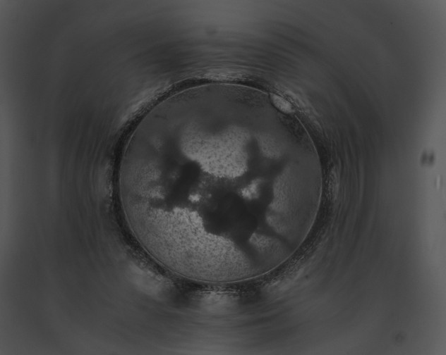 X0000091650303200708301424