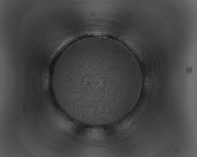 X0000091650304200708301424