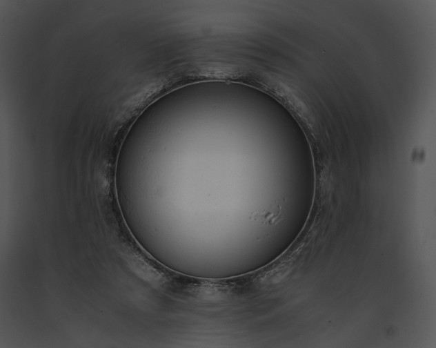 X0000091650305200708301424