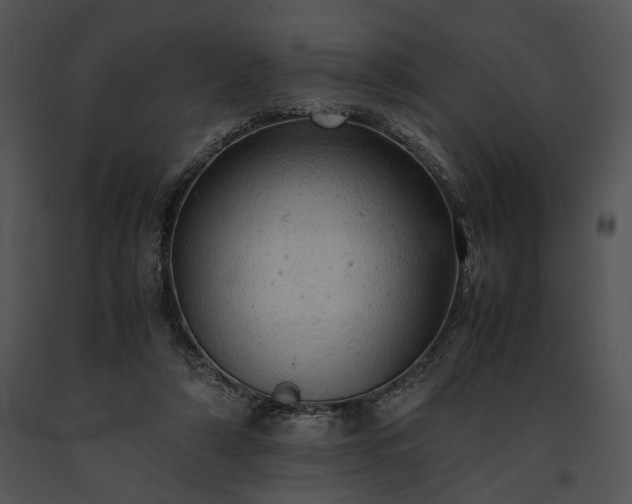 X0000091650306200708301424