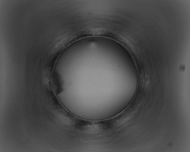 X0000091650307200708301424