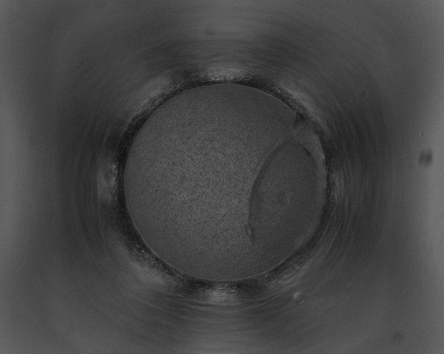 X0000091650308200708301424