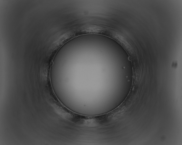 X0000091650309200708301424