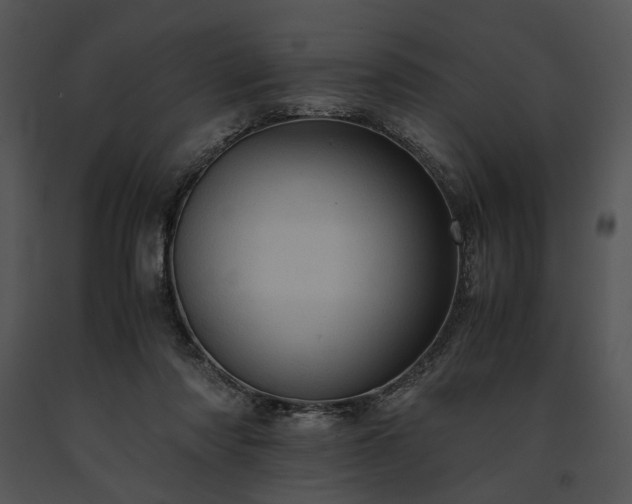 X0000091650310200708301423