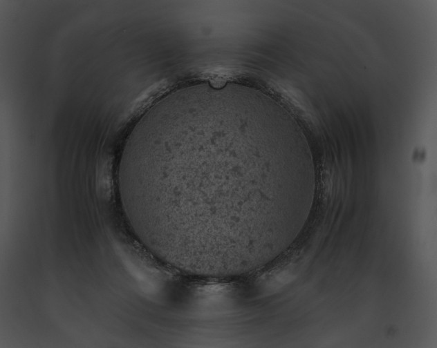 X0000091650312200708301423