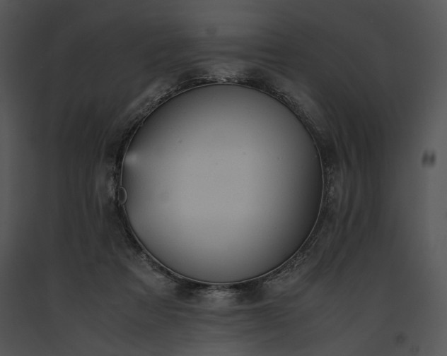 X0000091650313200708301423