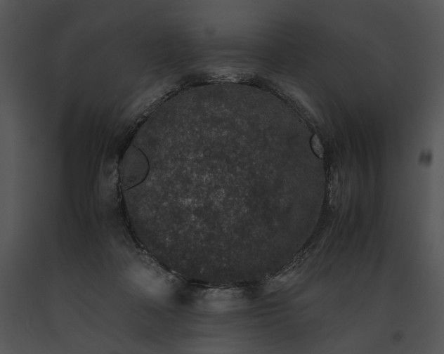 X0000091650314200708301423