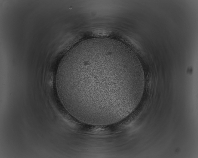 X0000091650315200708301423