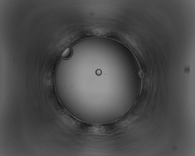 X0000091650317200708301423