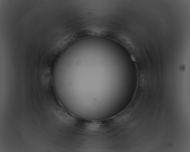 X0000091650318200708301423