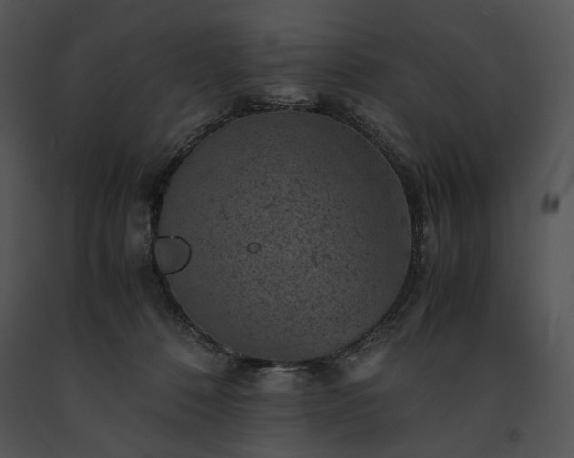 X0000091650320200708301423