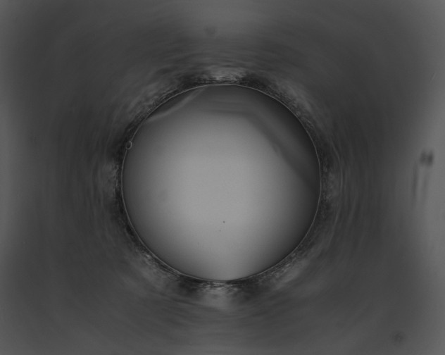 X0000091650321200708301423