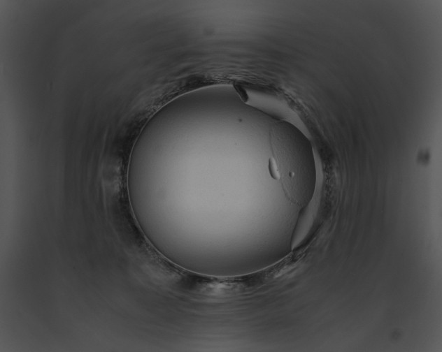 X0000091650323200708301423