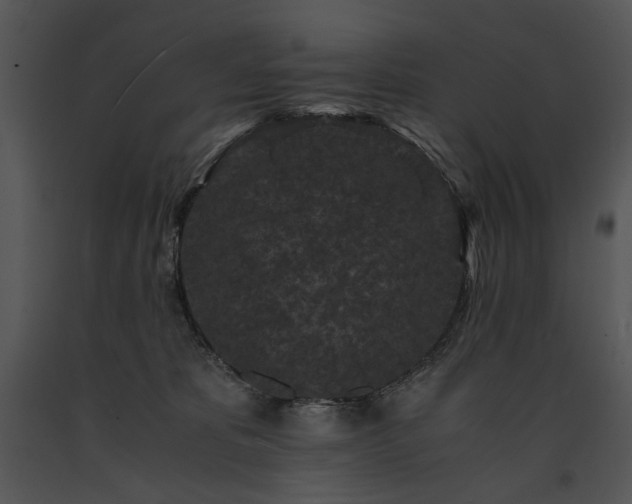 X0000091650325200708301423