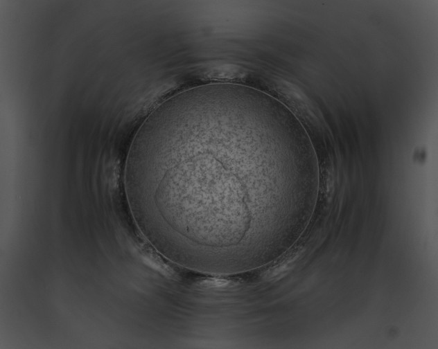 X0000091650326200708301423