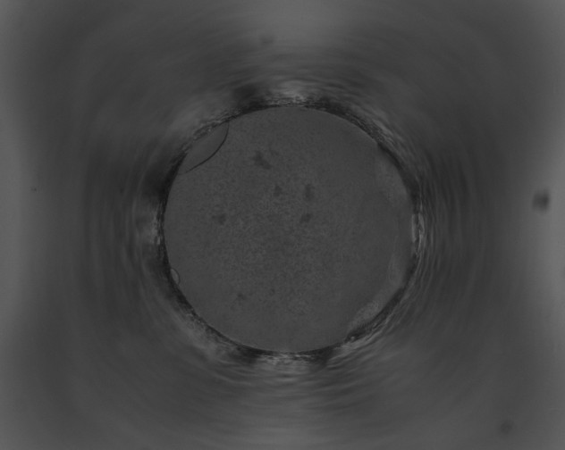 X0000091650331200708301423