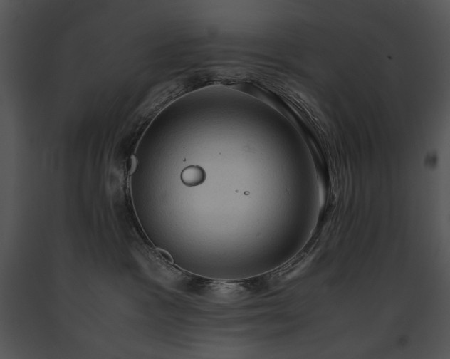 X0000091650333200708301423