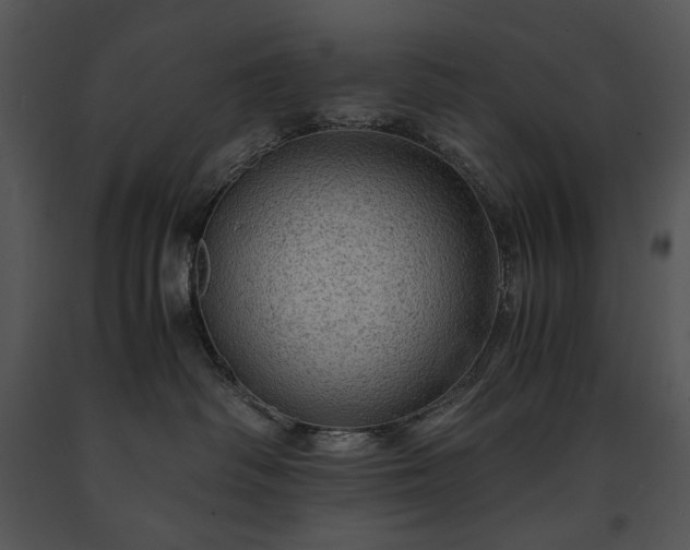 X0000091650334200708301423