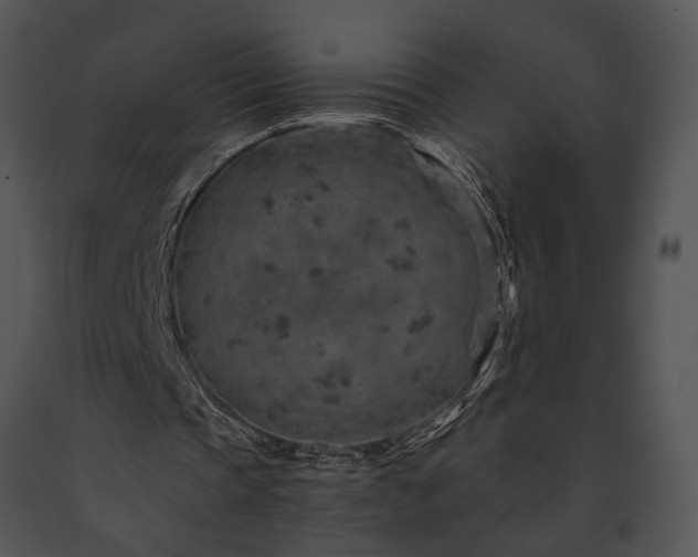 X0000091650337200708301423