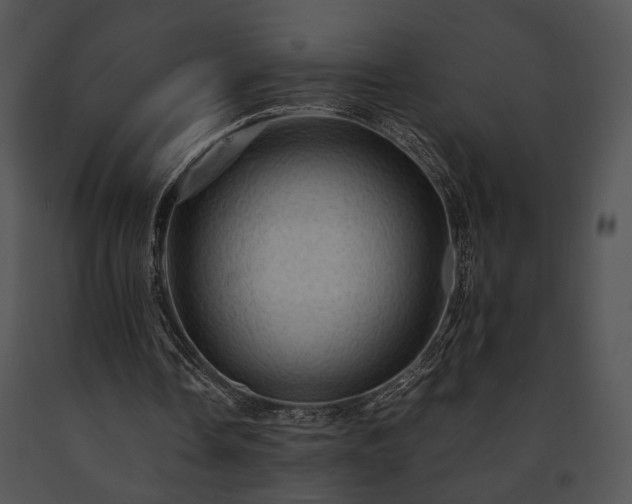 X0000091650338200708301423