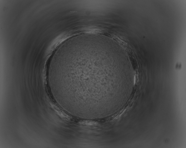 X0000091650339200708301423