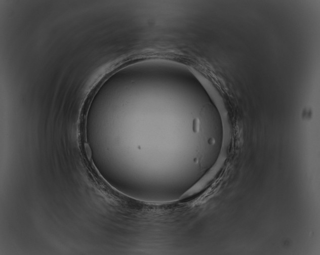 X0000091650340200708301423