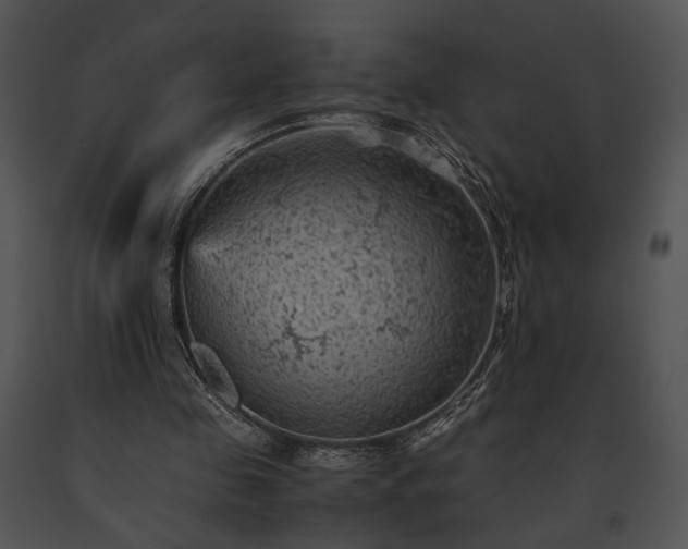 X0000091650341200708301423