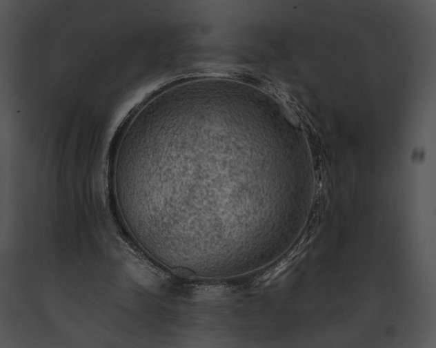 X0000091650342200708301423