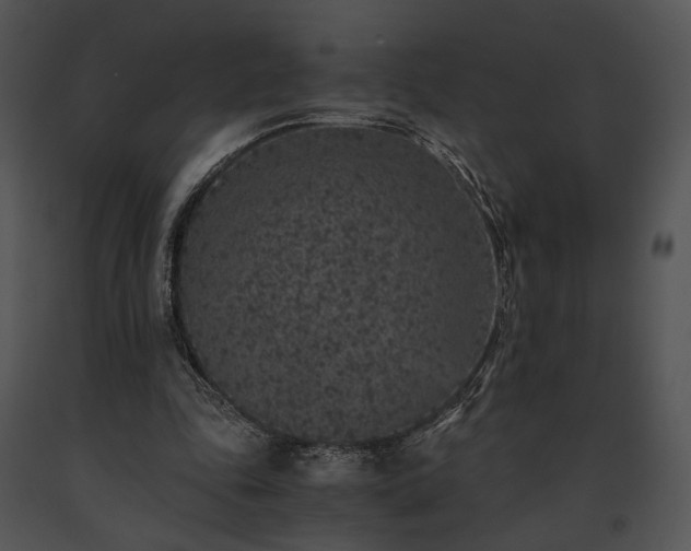 X0000091650343200708301423