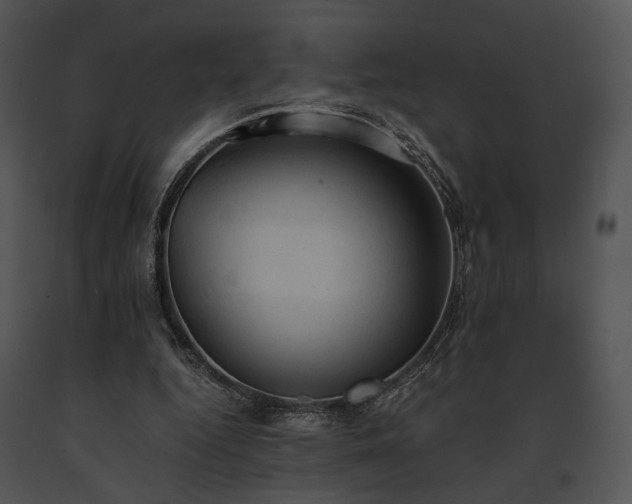 X0000091650344200708301423