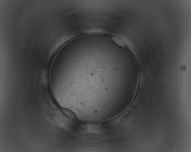 X0000091650345200708301423