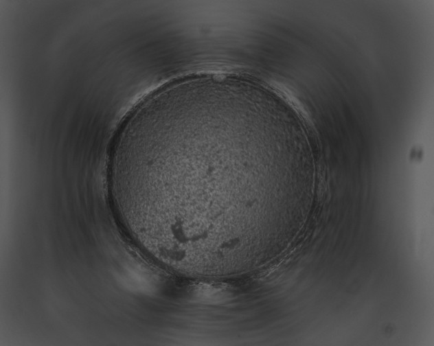 X0000091650346200708301423