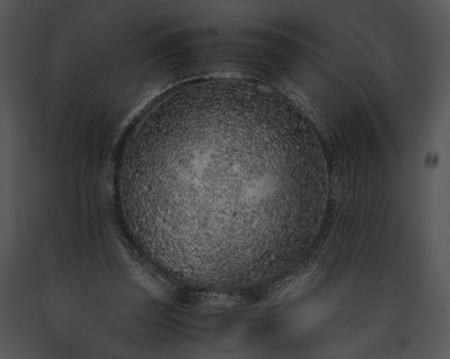 X0000091650347200708301423