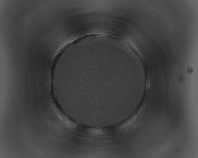 X0000091650349200708301423