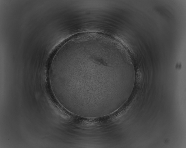 X0000091650351200708301423