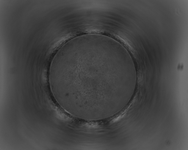 X0000091650353200708301423