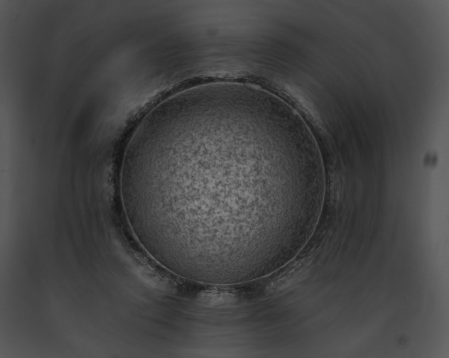 X0000091650354200708301423