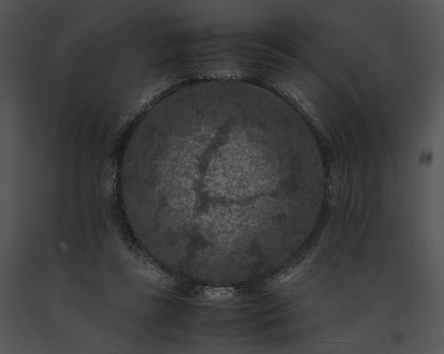 X0000091650355200708301423