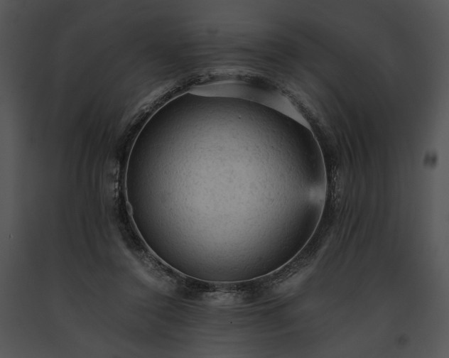 X0000091650356200708301423