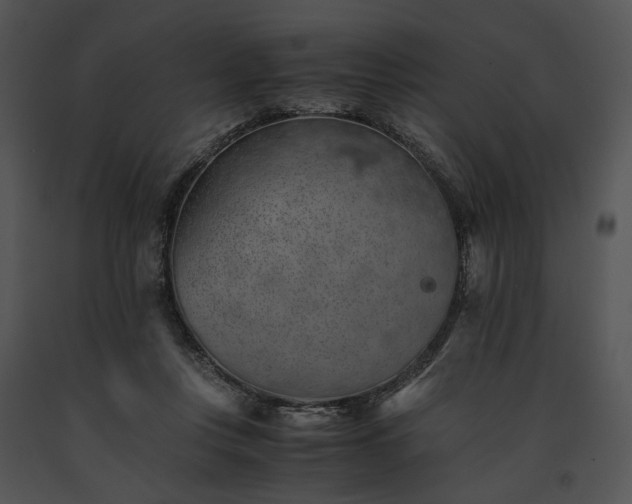 X0000091650359200708301423